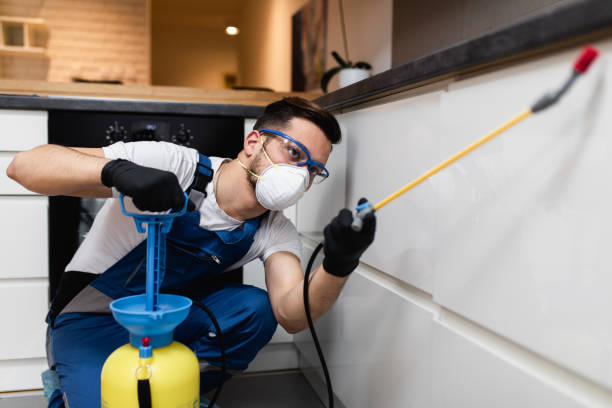 Best Affordable Pest Control Services  in Cashmere, WA