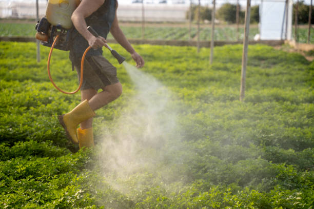 Best Affordable Exterminators  in Cashmere, WA