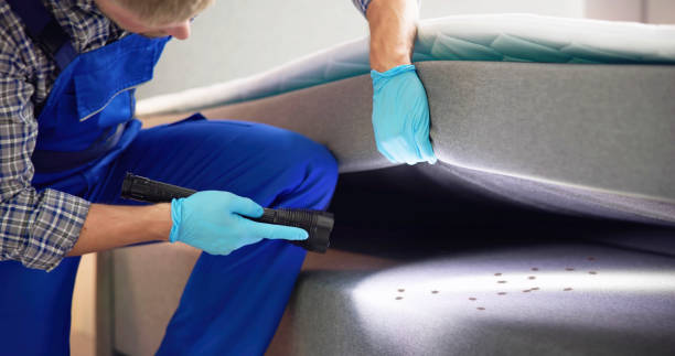 Best Emergency Pest Control  in Cashmere, WA