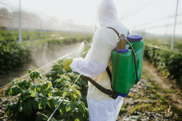 Trusted Cashmere, WA Pest Control Experts